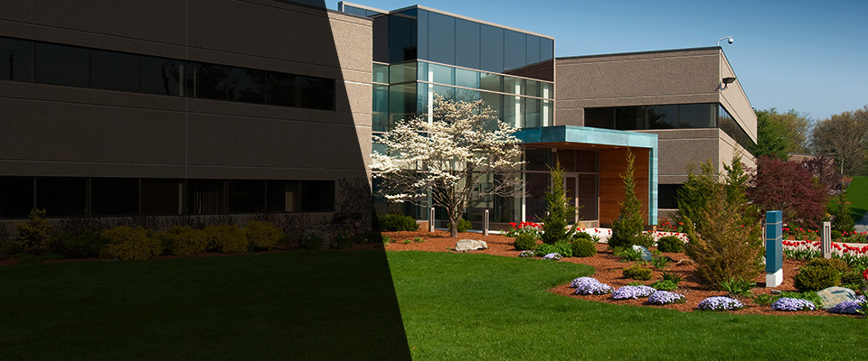 Delmont Landscapers