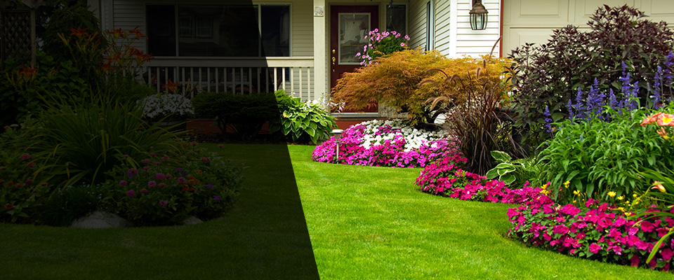 Delmont Landscapers