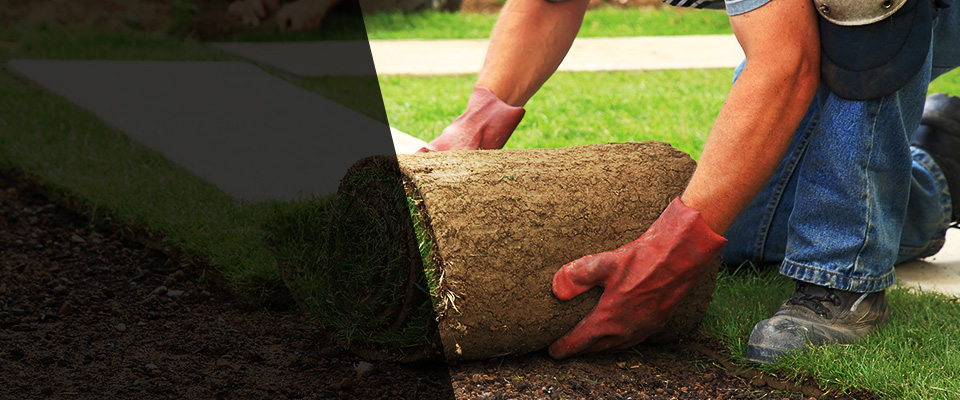 Delmont Landscapers